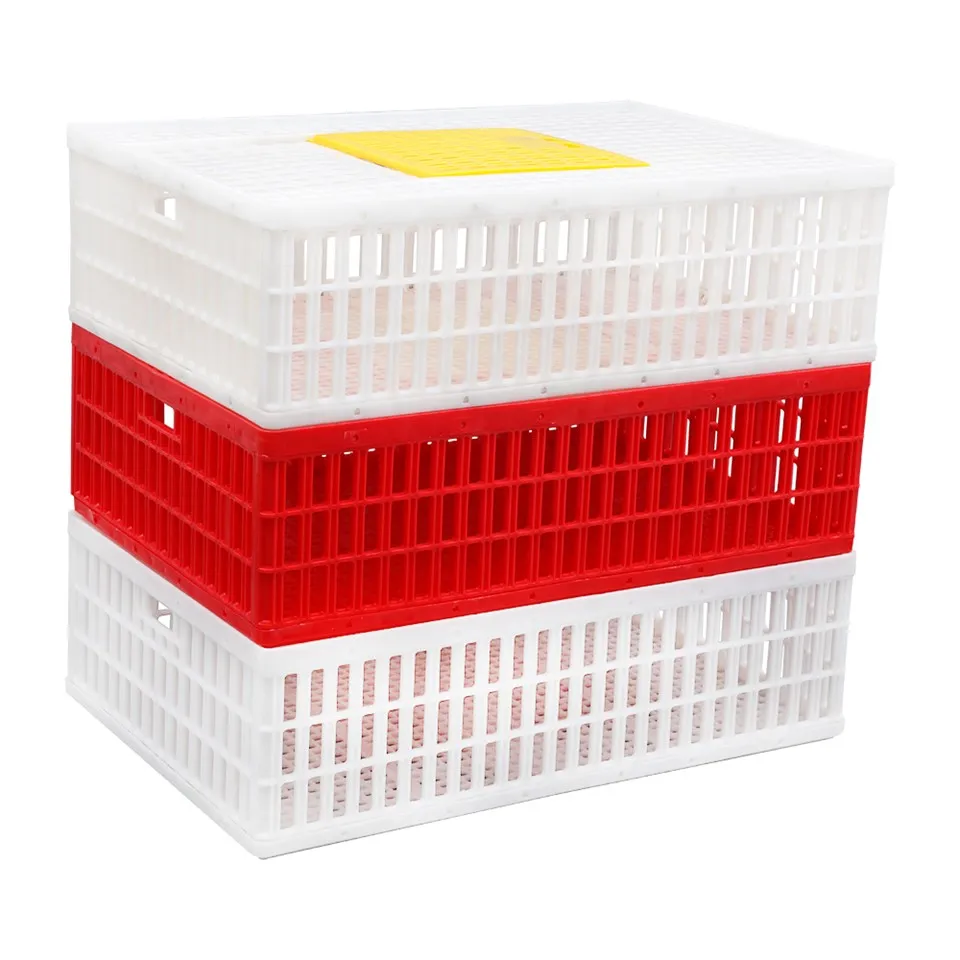 Plastic Chicken Crate 900*600*270 mm